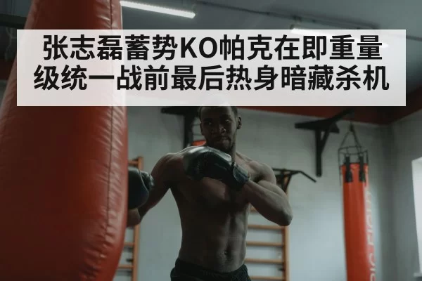 张志磊蓄势KO帕克在即重量级统一战前最后热身暗藏杀机