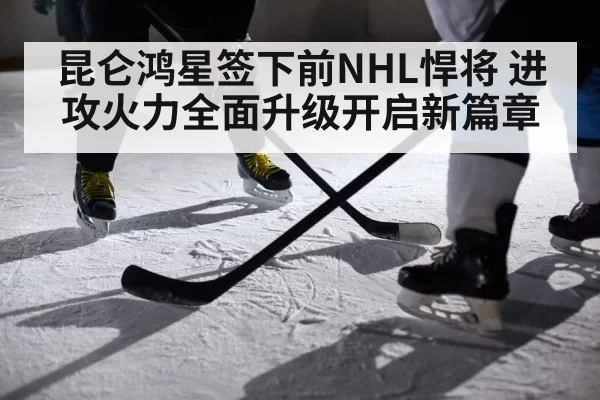 昆仑鸿星签下前NHL悍将 进攻火力全面升级开启新篇章