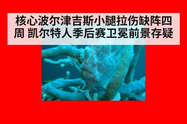 核心波尔津吉斯小腿拉伤缺阵四周 凯尔特人季后赛卫冕前景存疑